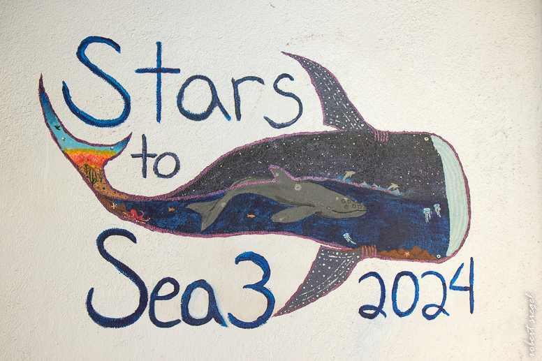 baja 2024